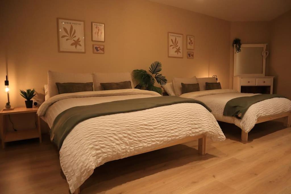 Modern Studio Apartment In Cashel Cashel  Luaran gambar